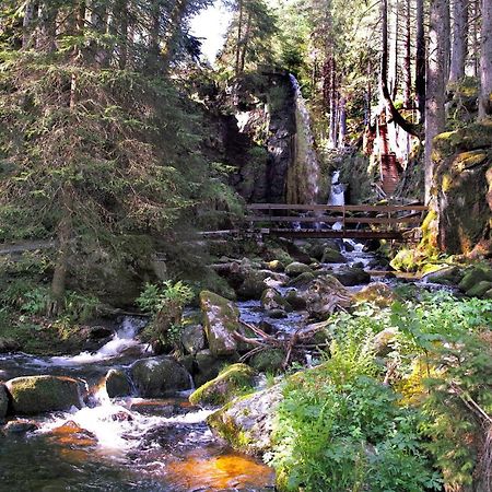C4 Albmatte-Fewo Sauna, Hallenbad Aussenbecken Massagen Nebenan Menzenschwand-Hinterdorf Eksteriør bilde
