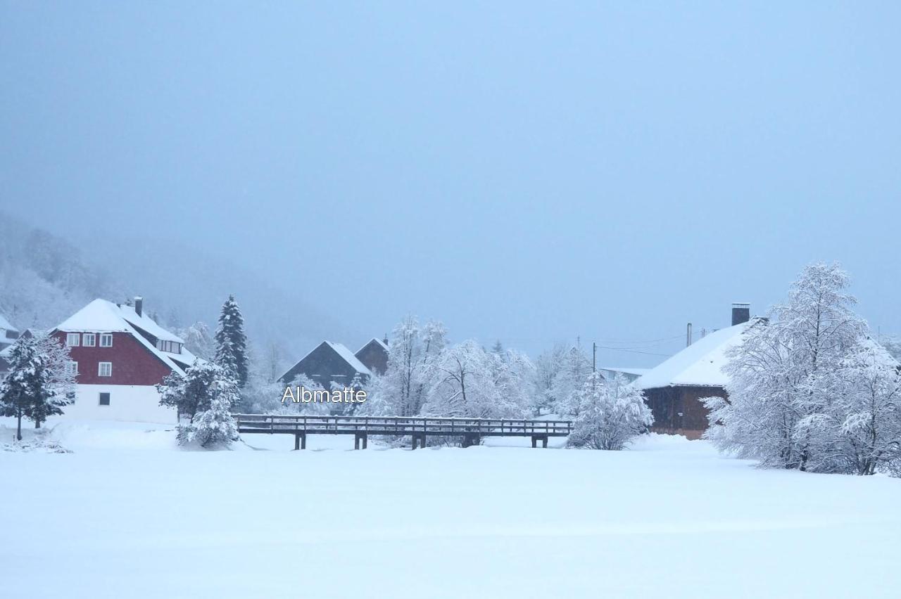 C4 Albmatte-Fewo Sauna, Hallenbad Aussenbecken Massagen Nebenan Menzenschwand-Hinterdorf Eksteriør bilde