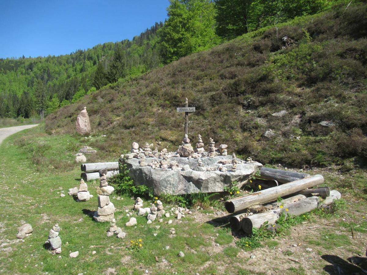 C4 Albmatte-Fewo Sauna, Hallenbad Aussenbecken Massagen Nebenan Menzenschwand-Hinterdorf Eksteriør bilde
