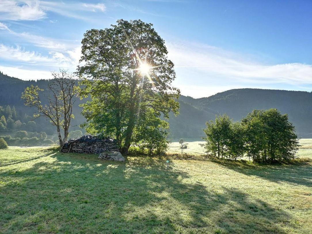 C4 Albmatte-Fewo Sauna, Hallenbad Aussenbecken Massagen Nebenan Menzenschwand-Hinterdorf Eksteriør bilde