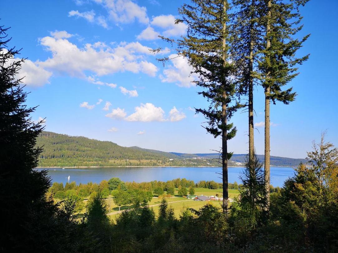 C4 Albmatte-Fewo Sauna, Hallenbad Aussenbecken Massagen Nebenan Menzenschwand-Hinterdorf Eksteriør bilde