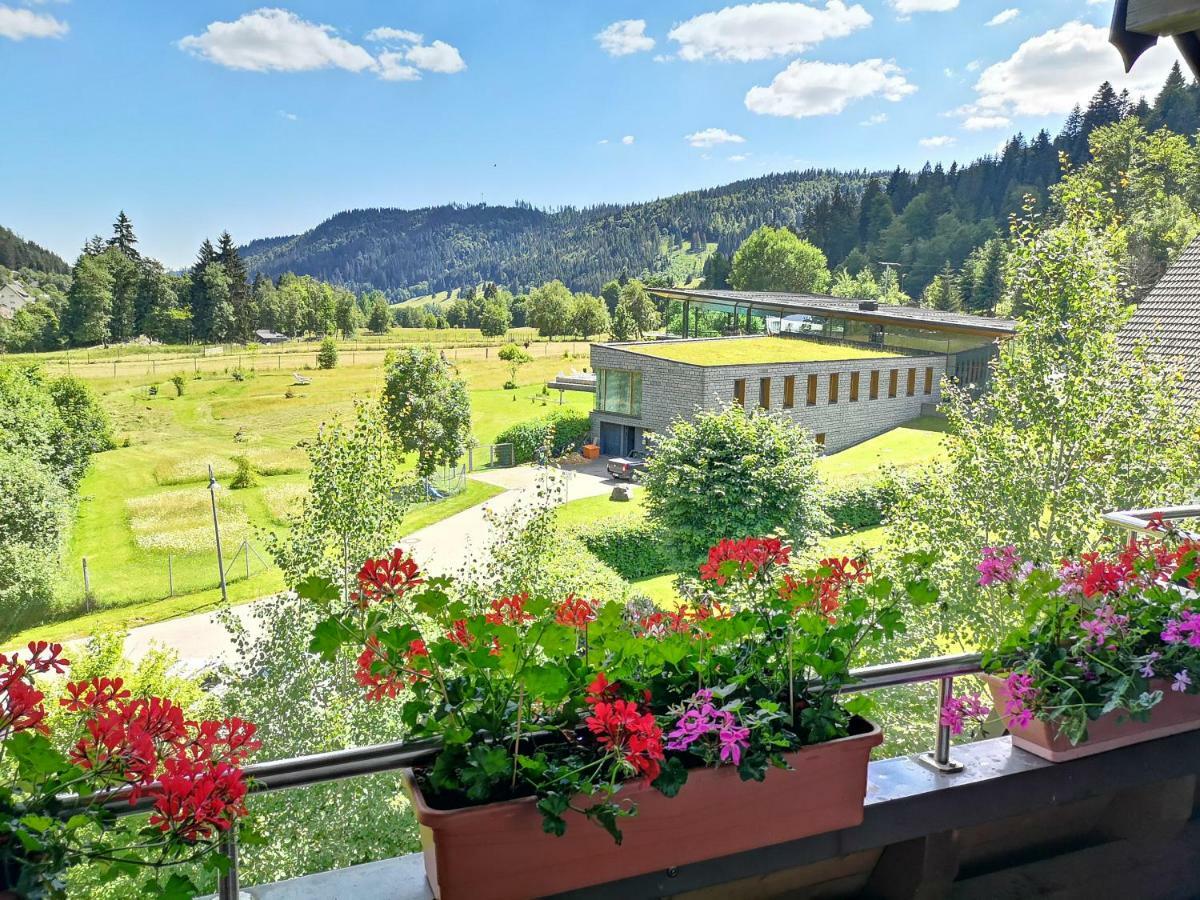 C4 Albmatte-Fewo Sauna, Hallenbad Aussenbecken Massagen Nebenan Menzenschwand-Hinterdorf Eksteriør bilde