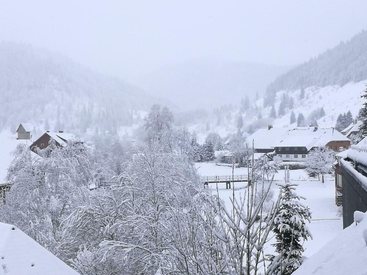 C4 Albmatte-Fewo Sauna, Hallenbad Aussenbecken Massagen Nebenan Menzenschwand-Hinterdorf Eksteriør bilde
