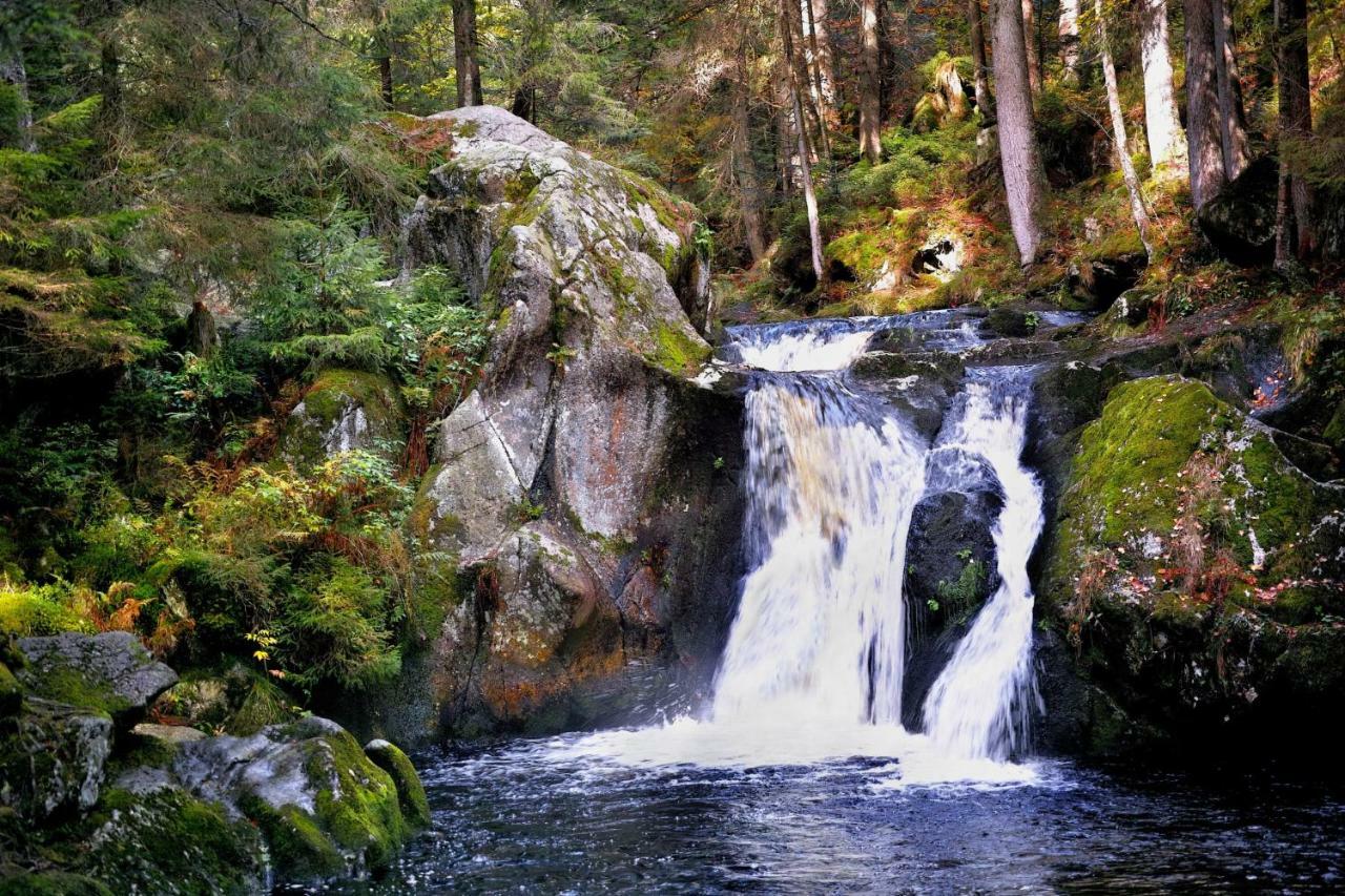 C4 Albmatte-Fewo Sauna, Hallenbad Aussenbecken Massagen Nebenan Menzenschwand-Hinterdorf Eksteriør bilde