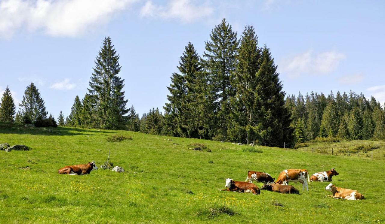 C4 Albmatte-Fewo Sauna, Hallenbad Aussenbecken Massagen Nebenan Menzenschwand-Hinterdorf Eksteriør bilde