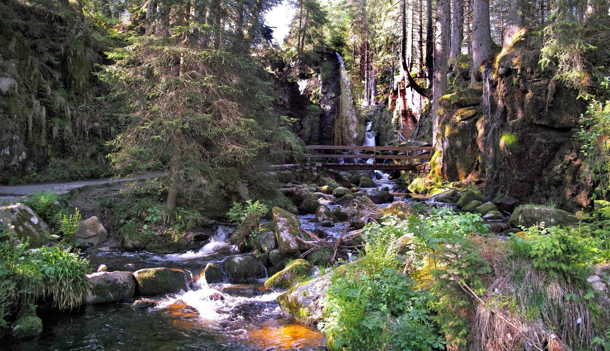 C4 Albmatte-Fewo Sauna, Hallenbad Aussenbecken Massagen Nebenan Menzenschwand-Hinterdorf Eksteriør bilde