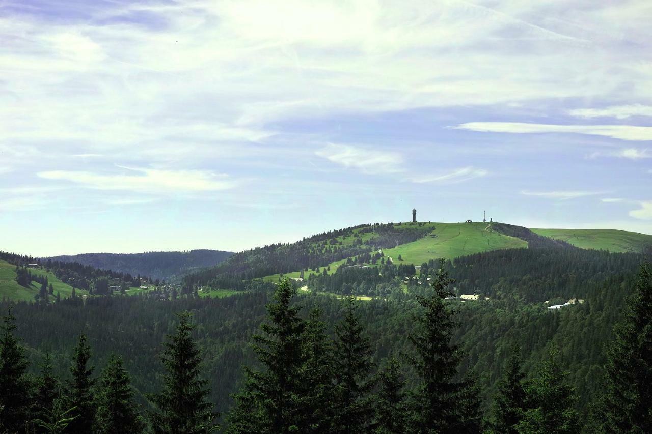 C4 Albmatte-Fewo Sauna, Hallenbad Aussenbecken Massagen Nebenan Menzenschwand-Hinterdorf Eksteriør bilde