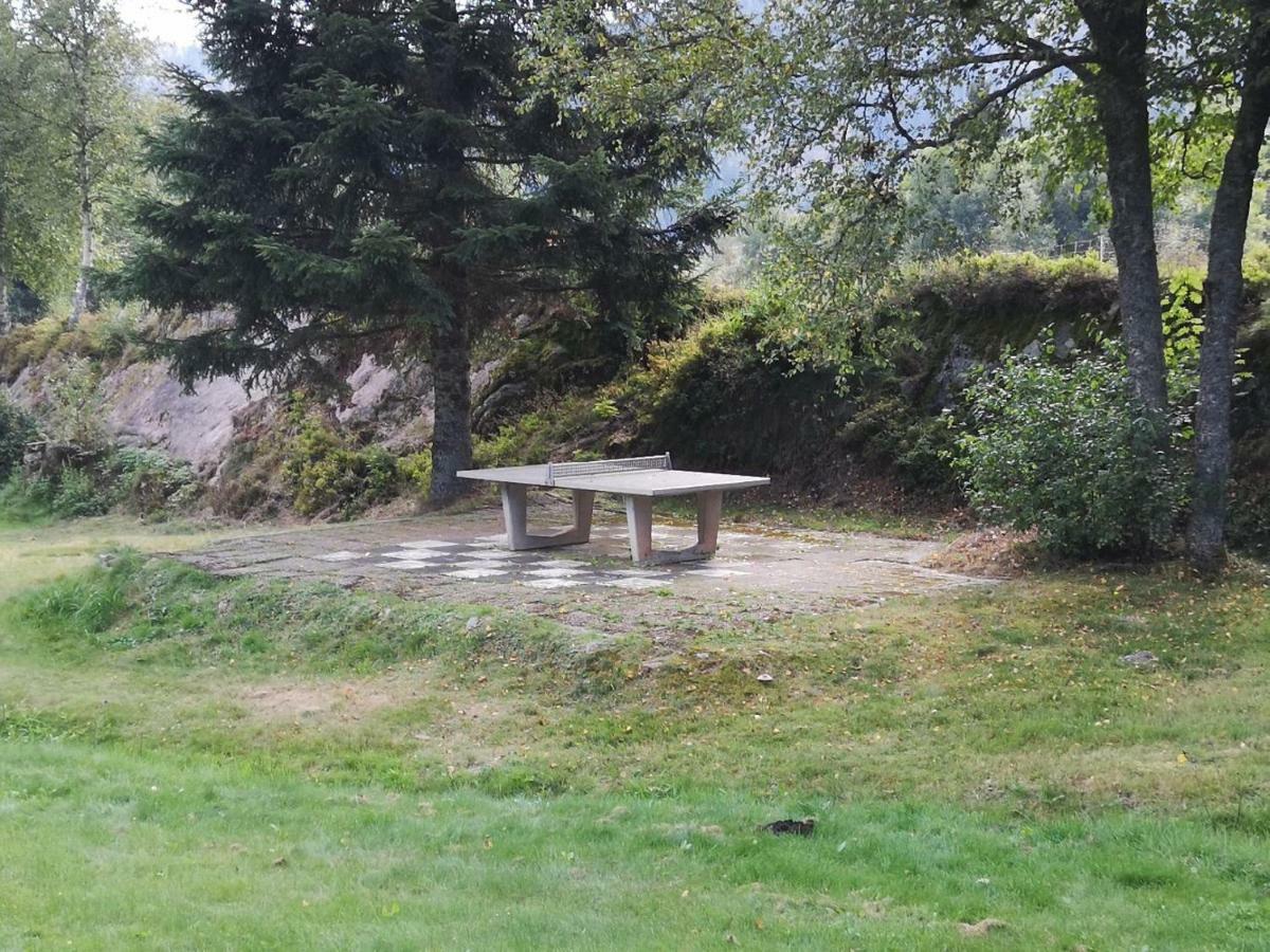 C4 Albmatte-Fewo Sauna, Hallenbad Aussenbecken Massagen Nebenan Menzenschwand-Hinterdorf Eksteriør bilde