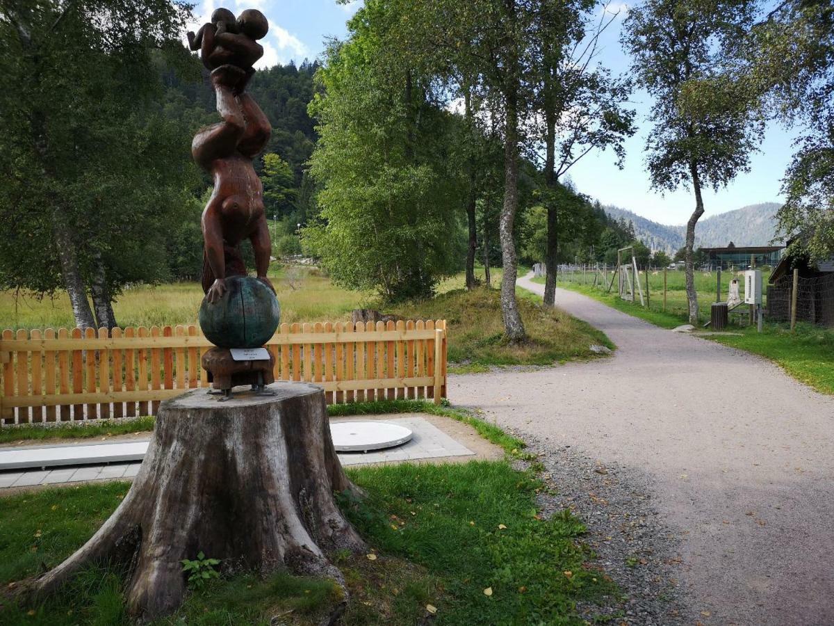 C4 Albmatte-Fewo Sauna, Hallenbad Aussenbecken Massagen Nebenan Menzenschwand-Hinterdorf Eksteriør bilde